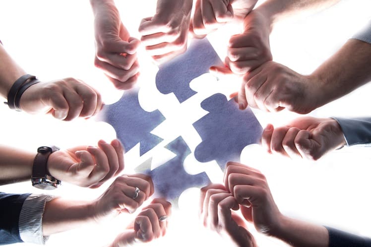 Building your team