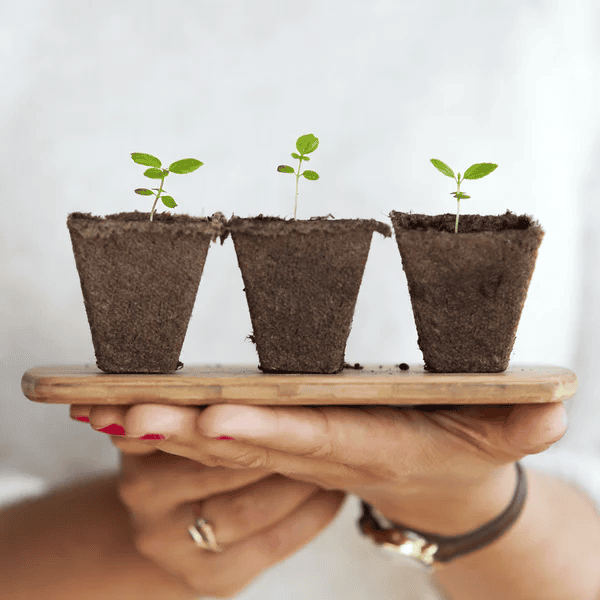 Five key tips to encourage new growth in your HR business